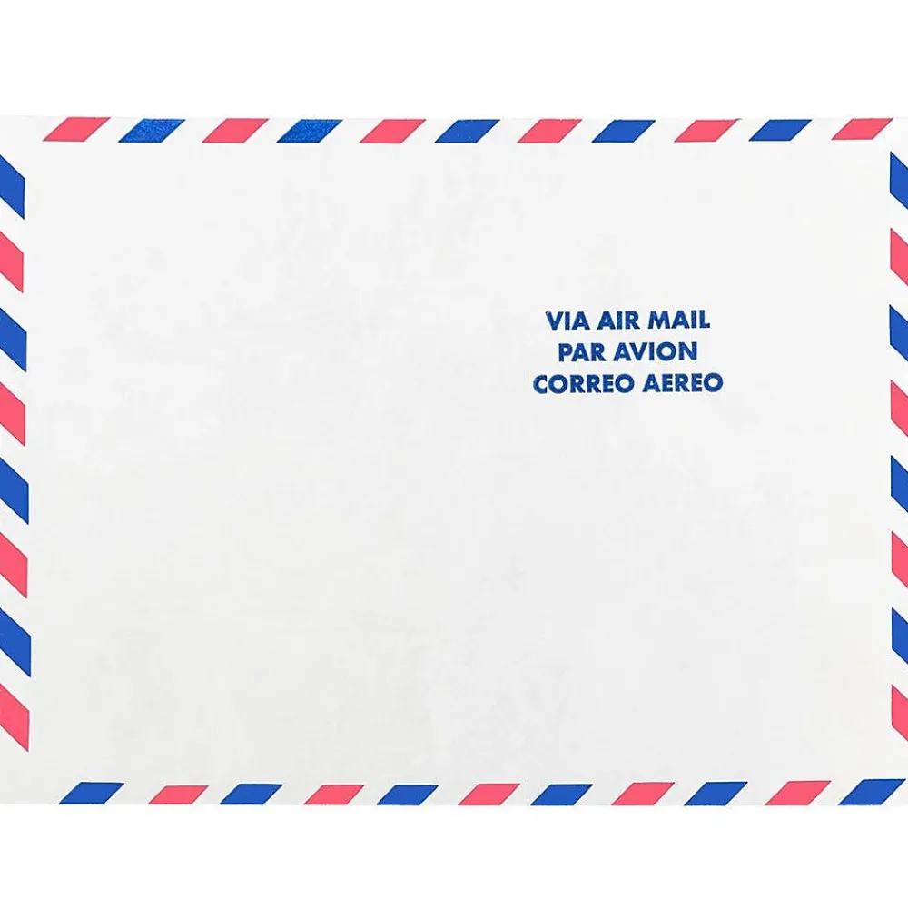 Discount JAM Paper Tear-Proof Tyvek Open End Catalog Envelopes, 9" x 12", White Airmail, 50/Pack (2131102C)