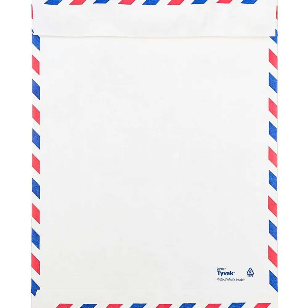 Sale JAM Paper Tear-Proof Tyvek Open End Catalog Envelopes, 9" x 12", White Airmail, 25/Pack (2131102)