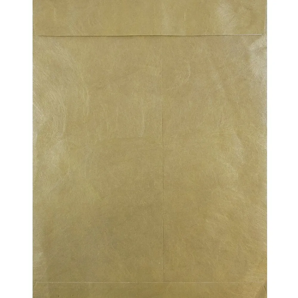 Clearance JAM Paper Tear-Proof Tyvek Open End Catalog Envelopes, Gold, 10" x 13", 25/Pack (V021378)