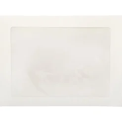 Best JAM Paper Window Envelope, 9" x 12", White, 100/Pack (0223932B)