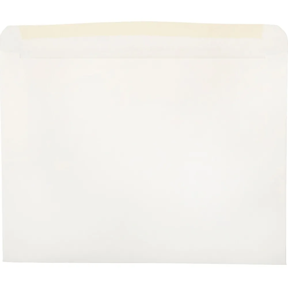 Best JAM Paper Window Envelope, 9" x 12", White, 100/Pack (0223932B)