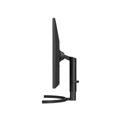 Discount LG 31.5