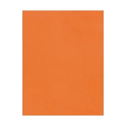 Card Stock*LUX 100 lb. Cardstock Paper, 12" x 18", Mandarin, 500 Sheets/Pack (1218-C-11-500)