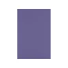Card Stock*LUX 100 lb. Cardstock Paper, 12" x 18", Wisteria, 500 Sheets/Pack (1218-C-106-500)