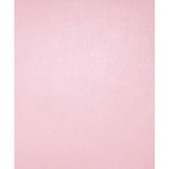 Card Stock*LUX 105 lb. Cardstock Paper, 8.5" x 11", Rose Quartz Metallic, 250 Sheets/Pack (81211-C-75-250)