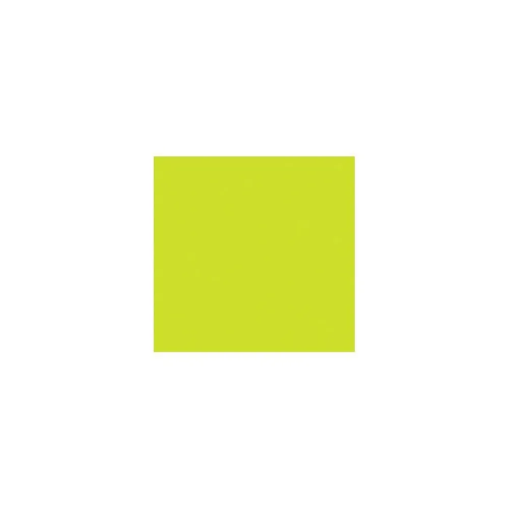 Card Stock*LUX 100 lb. Cardstock Paper, 12" x 12", Wasabi Green, 250 Sheets/Pack (1212-C-L22-250)