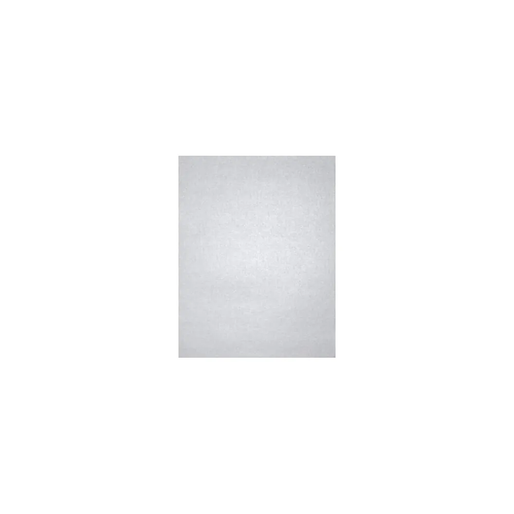 Card Stock*LUX 105 lb. Cardstock Paper, 11" x 17", Silver Metallic, 500 Sheets/Ream (1117-C-M06-500)
