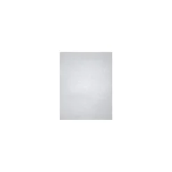 Card Stock*LUX 105 lb. Cardstock Paper, 11" x 17", Silver Metallic, 50 Sheets/Ream (1117-C-M06-50)