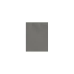 Card Stock*LUX 100 lb. Cardstock Paper, 11" x 17", Smoke, 1000 Sheets/Pack (1117-C-22-1M)