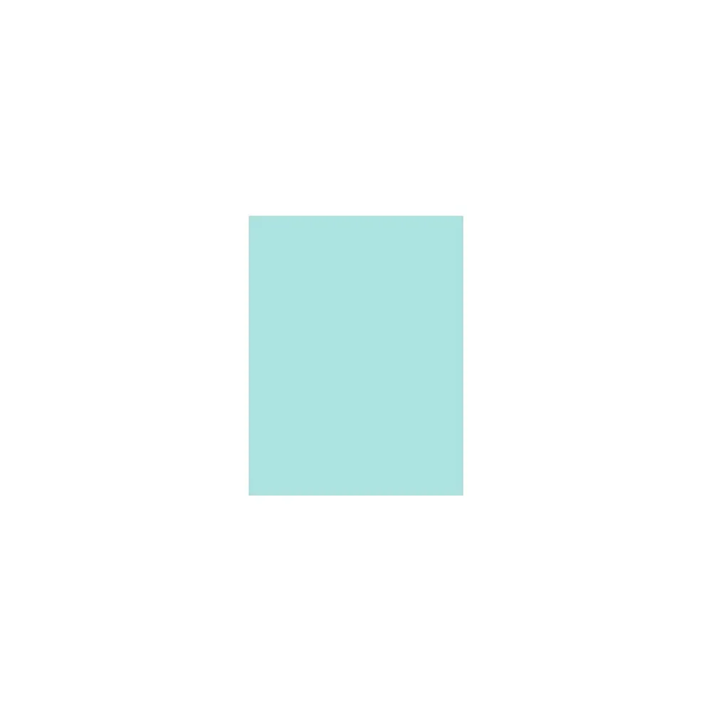 Card Stock*LUX 100 lb. Cardstock Paper, 11" x 17", Seafoam, 500 Sheets/Pack (1117-C-113-500)