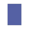 Card Stock*LUX 100 lb. Cardstock Paper, 11" x 17", Boardwalk Blue, 250 Sheets/Pack (1117-C-23-250)