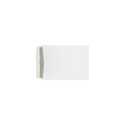 Clearance LUX 9 x 12 Kraft Open End Envelopes, 1000/Box, 28lb. White w/ Security Tint (WS-4894-ST-1M)