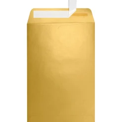 Best LUX 6 x 9 Open End Envelopes, Gold Metallic, 500/Box (1644-07-500)