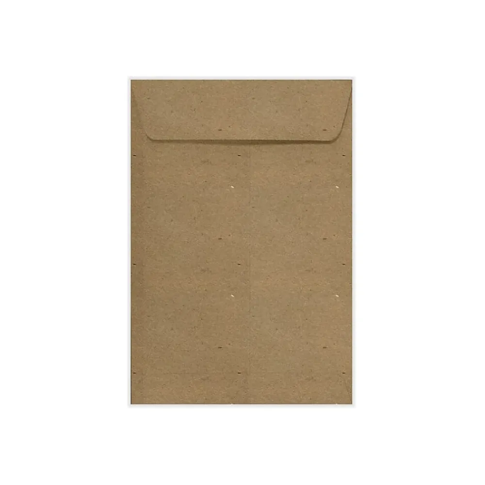 Outlet LUX 6.5" x 9.5" Open End Envelopes 500/Pack, Grocery Bag (-1645-GB-500)