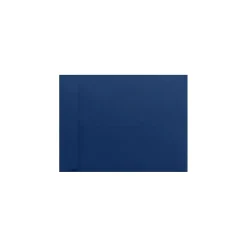 Best LUX 9 x 12 Open End Envelopes 250/Pack, Navy (4894103250)