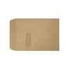 New LUX Open End Self Seal Window Envelope, 9" x 12", Grocery Bag, 1000/Pack (1590-GB-1M)