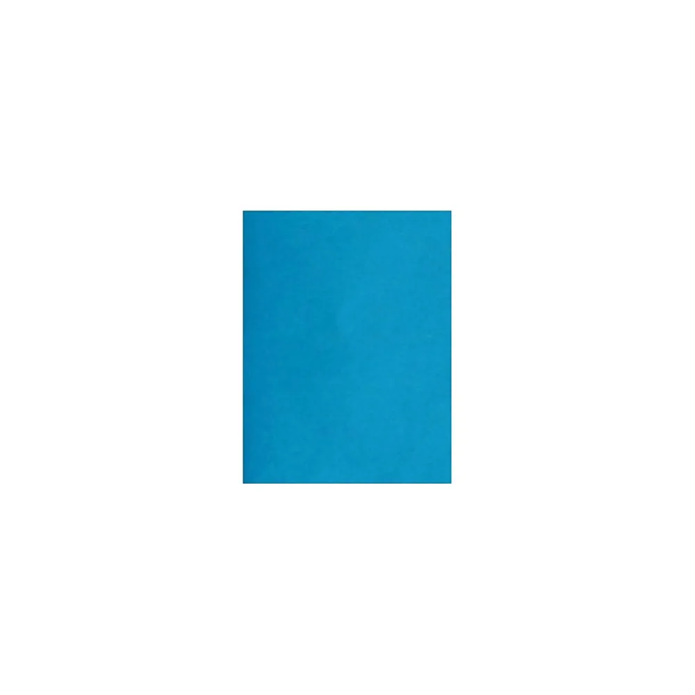 Multipurpose Paper*LUX ® Paper, 11" x 17", Pool Blue, 1000 Qty (1117-P-102-1M)