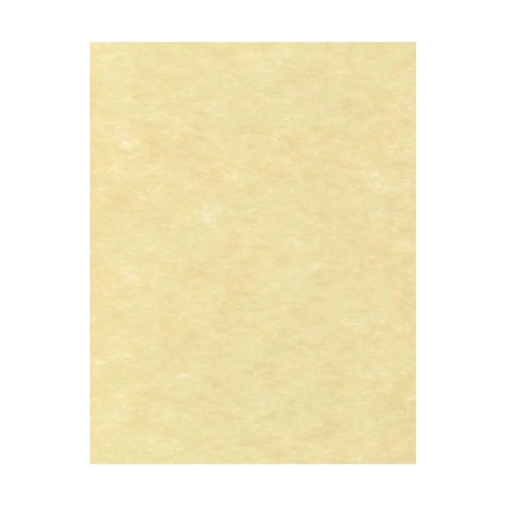 Card Stock*LUX Parchment 65 lb. Cardstock Paper, 8.5" x 11", Gold Parchment, 1000 Sheets/Pack (81211-C-41-1000)