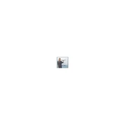 Dry Erase*Luxor Double Sided Mobile Magnetic Glass Marker Board, Aluminum, 48x36 (MMGB4836)