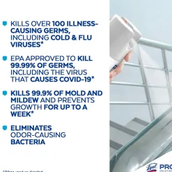 Professional Disinfectant Spray, Fresh Scent, 19 Oz., 12/Carton (3624104675CT)<Lysol New