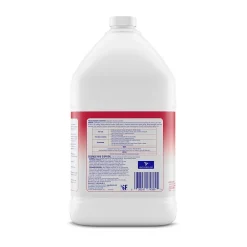 Professional No Rinse Sanitizer, 1 Gallon (3624174389)<Lysol New