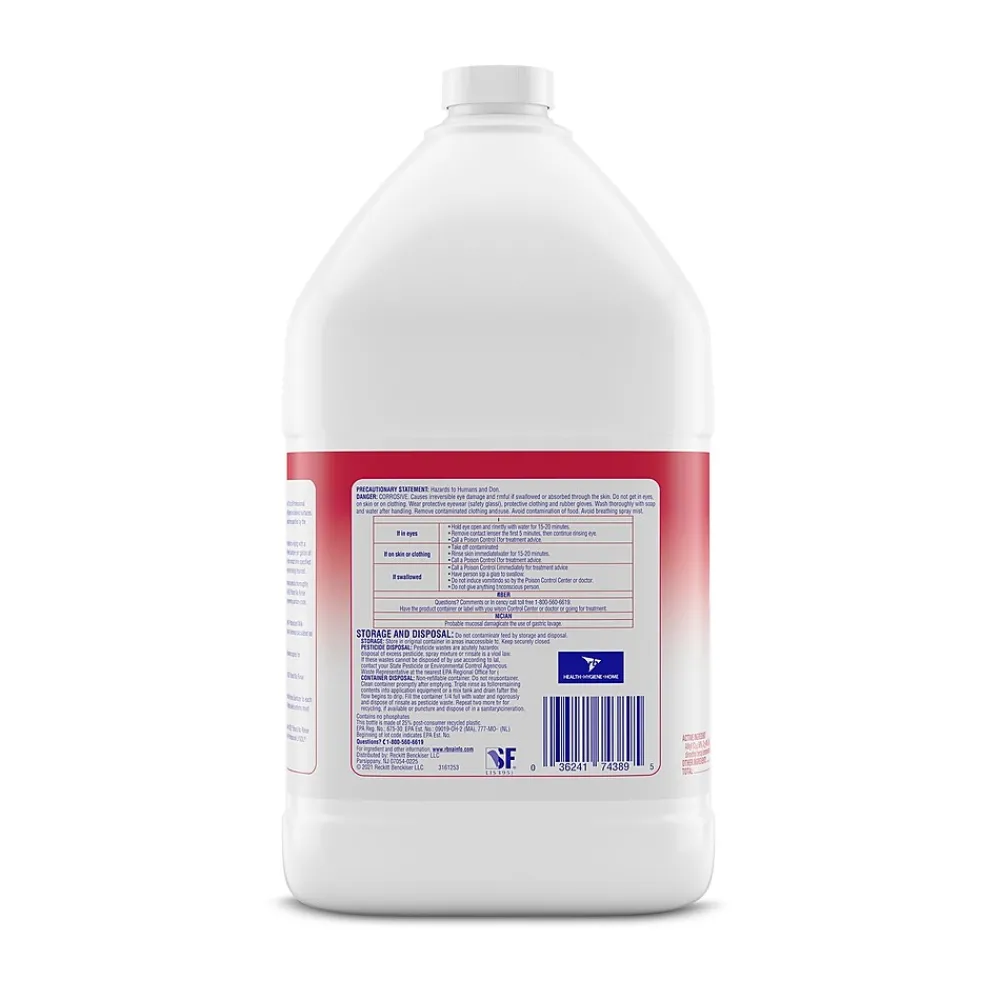 Professional No Rinse Sanitizer, 1 Gallon (3624174389)<Lysol New