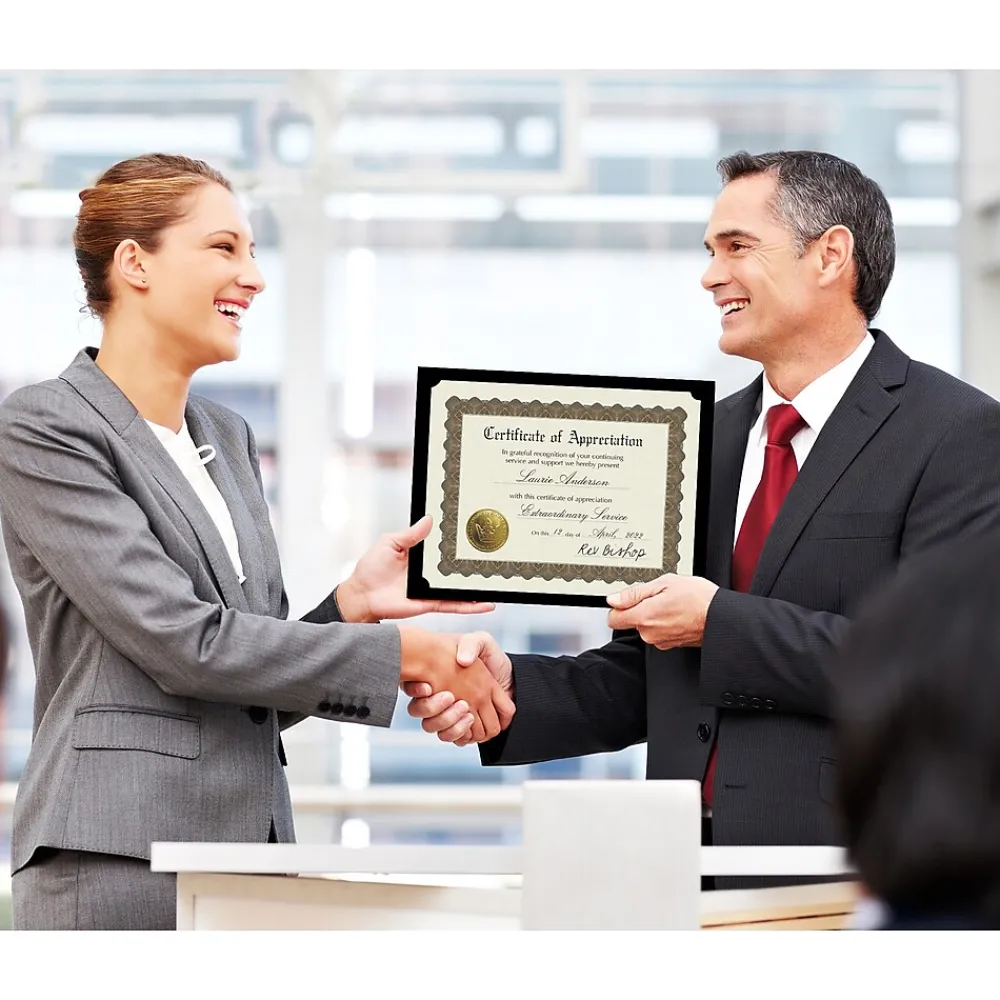 Awards & Certificates*Masterpiece Studios Appreciation Certificates, 8.5" x 11", Metallic Gold, 18/Pack (20104238)