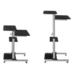 Standing Desks*Mount-It! 27.5