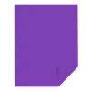 Multipurpose Paper*Neenah Paper Neenah Astrobrights Paper, 8.5" x 11", 60lb., Text, Gravity Grape, 5000/Carton (21961)