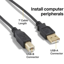 NXT Technologies ™ 7' USB A Male/B Male, Black (NX29929)