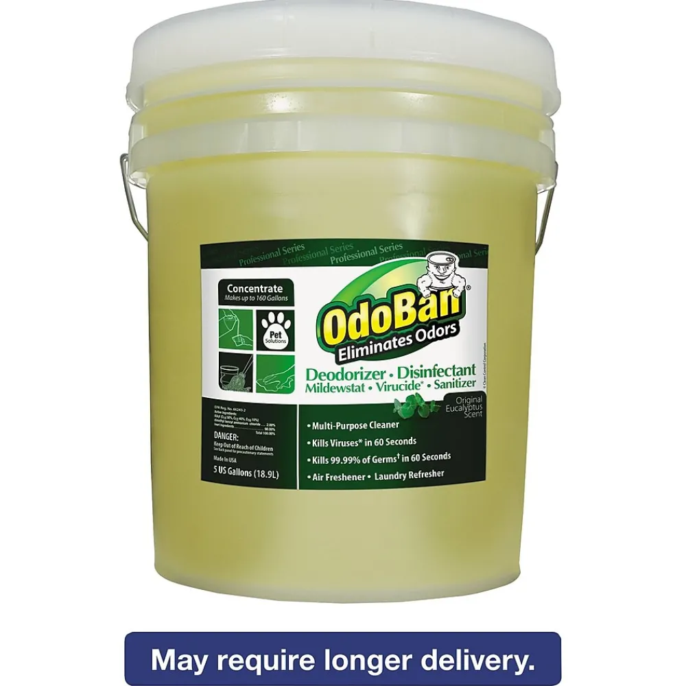 Professional Series Deodorizer Disinfectant, 5gal Pail, Eucalyptus Scent (ODO9110625G)<ODOBAN Best