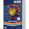 Construction Paper*Tru-Ray Pacon® Construction Paper 9" x12", Gray, 50 Sheets/Pack (PAC103027)