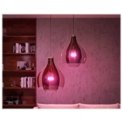 Philips Hue White Light Bulb, A21 16 Million Colors 10.5W E26 (563254)