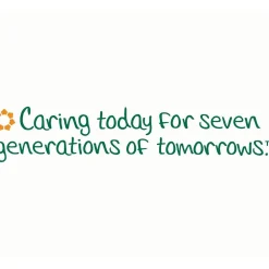 Seventh Generation Recycled Paper Towels, 2-ply, 120 Sheets/Roll, 6 Rolls/Pack (13737PK)