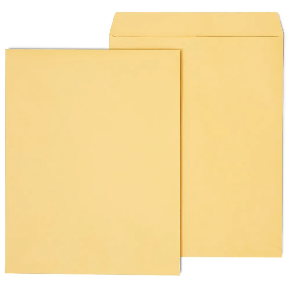 Sale Staples Open End Kraft Catalog Envelopes, 14"L x 18"H, Brown, 25/Pack (SPL195776)
