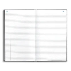 Accounting & Record Journals*Staples Record Book, 7.25"W x 11.75"H, Blue Marble, 300 Sheets/Book (886673)
