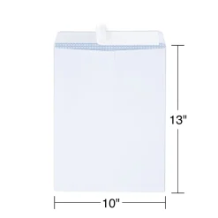 Hot Staples Self Seal Catalog Envelopes, 10