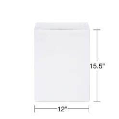 Discount Staples Self Seal Catalog Envelopes, 12