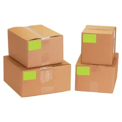 Labels|Tape Logic 3" x 9" Rectangle Inventory Label, Fluorescent Green, 250/Roll