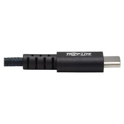 Tripp Lite 10' USB A to C Cable, Gray (U038-010-GY-MAX)