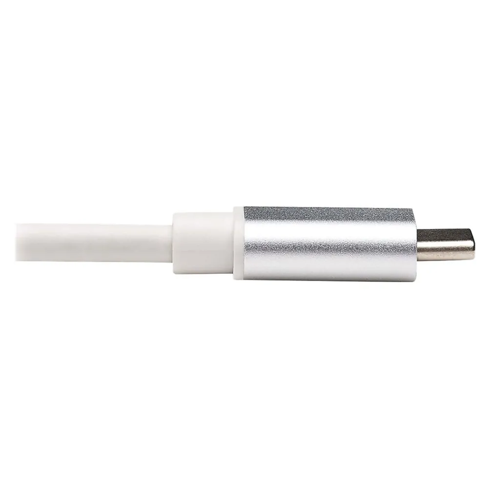 Tripp Lite USB C Male/Female, Silver (U437-002)