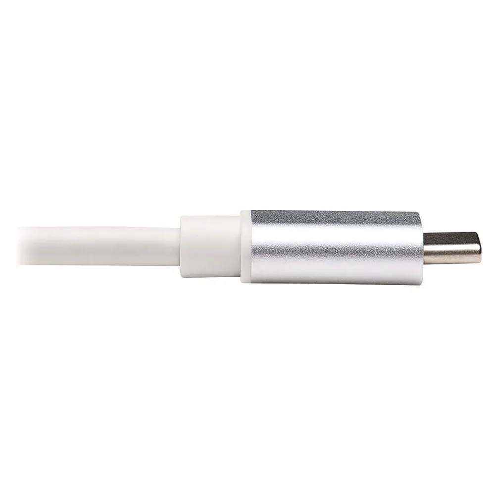 Tripp Lite USB C Male/Female, Silver (U437-002)