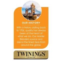 Twinings Cold Brewed English Classic Tea Bags, 20/Box (F07409)