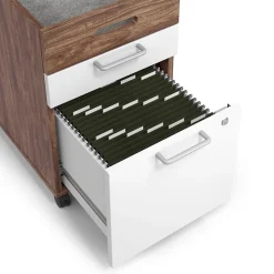 File Cabinets*Union & Scale ™ Essentials 2-Drawer Mobile Vertical File Cabinet, Letter/Legal, Lockable, 24.2