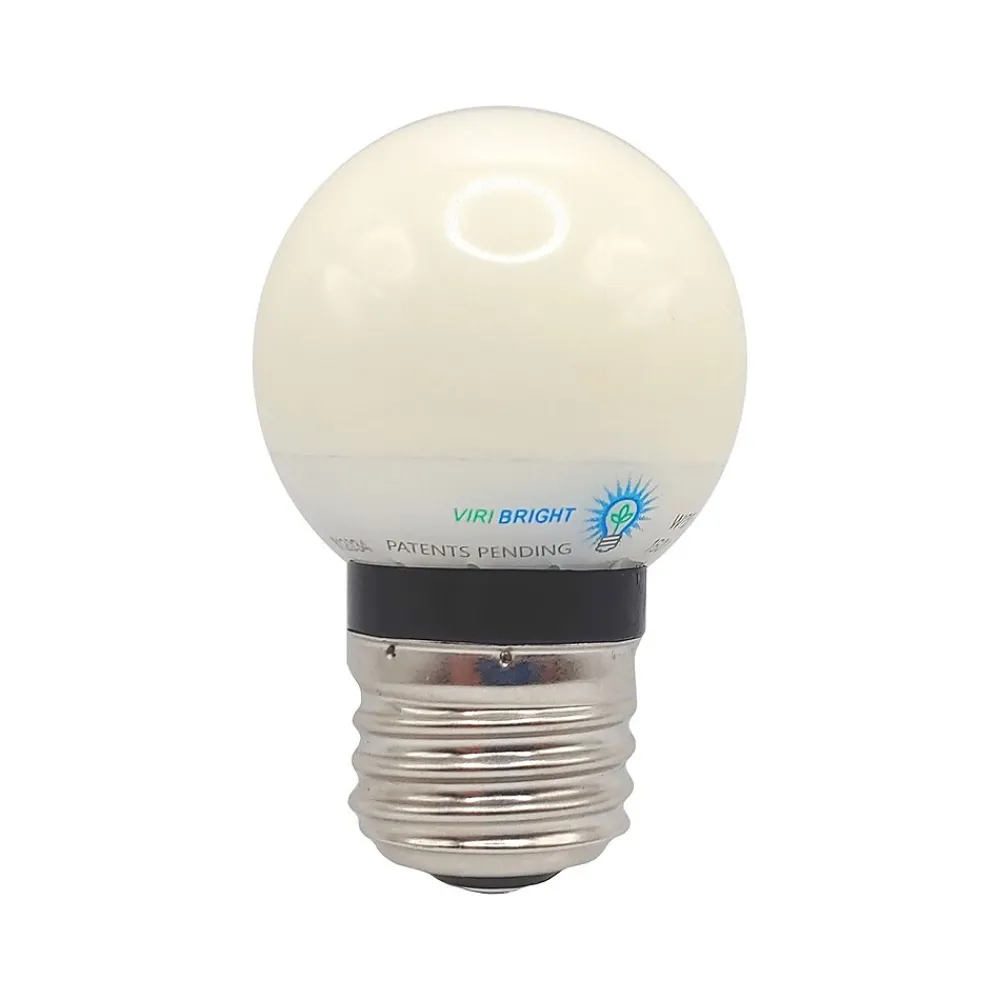 Viribright 2-Watt Daylight LED Bulb, Dozen (74566-12)
