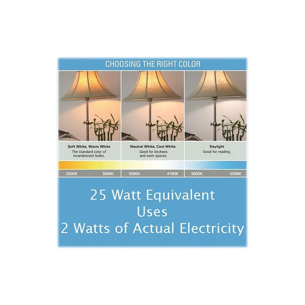 Viribright 2-Watt Daylight LED Bulb, Dozen (74566-12)