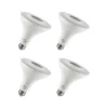 Viribright 12-Watt Soft White LED Floodlight Bulb, 4/Box (450159-ES)