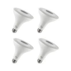 Viribright 12-Watt Soft White LED Floodlight Bulb, 4/Box (450159-ES)