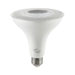 Viribright 12-Watt Soft White LED Floodlight Bulb, 4/Box (450159-ES)