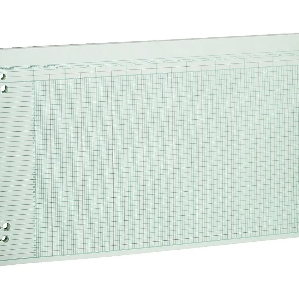 Accounting & Record Journals*Wilson Jones Columnar Ruled Sheets, 30 Columns, 11" x 17", Green, 100 Sheets/Pack (WLJG5030)